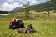 Foto: Wanderschuhe Pause © Matthias Buehner Wanderschuhe Pause © Matthias Buehner