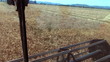 harvesters on wheat field afternoon
