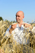 Mann mit Butterbrot im Roggenfeld