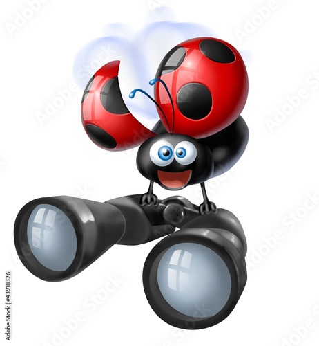 Illustration: coccinella binocolo coccinella binocolo