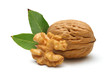 walnut and leaves