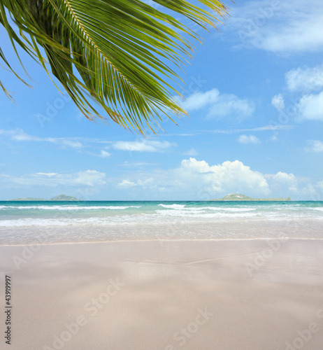 Foto: plage paradisiaque des Seychelles plage paradisiaque des Seychelles