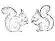 Set from two squirrels gnawing nuts