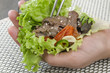 Bulgogi Wrap  - Korean BBQ beef with kimchi, ssamjang, & lettuce