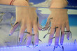 fish spa