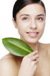 organic cosmetic