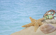seashells on sand with glass ball with blue water