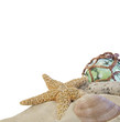 seashells on sand with glass ball on white