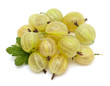 gooseberry isolated on white