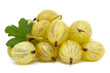 gooseberry isolated on white
