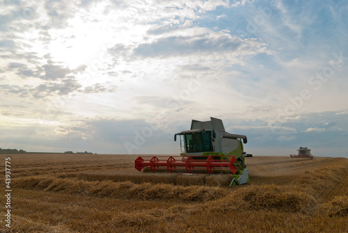 Photo: Harvester Harvester