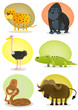 African Wild Animals Set