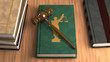 Gavel on a law book
