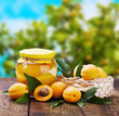 fresh and canned peaches in the background of nature