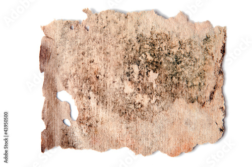Foto: Old paper Old paper