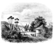 Traditional African Village
