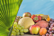 Foto: Fruchtmix mit Palmenblatt Fruchtmix mit Palmenblatt