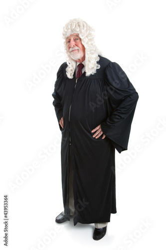 Photo: Judge in Wig - full body Judge in Wig - full body