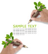 Two Male hand drawing on white background.