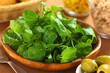 Fresh watercress on wooden plate with other ingredients