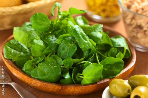 Photo: Fresh watercress on wooden plate with other ingredients Fresh watercress on wooden plate with other ingredients