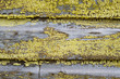 Old cracked painted wood
