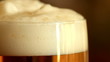 Pouring beer into a glass. close up.