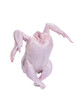 Dancing Raw Chicken
