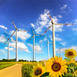 Windwheels and sunflowers
