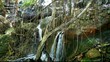 waterfall in the forest