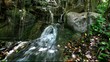 waterfall in the forest