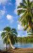 Foto : Tropical landscape Tropical landscape
