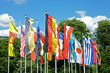 Länderflaggen im Wind