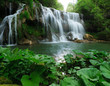 Cascade en pleine nature, avec plantes au premier plan