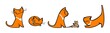 Set of images of a cat