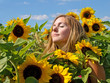 Die Sonne genießen: Junge, blonde Frau in Sonnenblumen-Feld