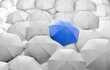 blue umbrella