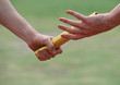Sport - Track and field