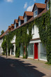 The street of the old town. The wall overgrown with ivy.