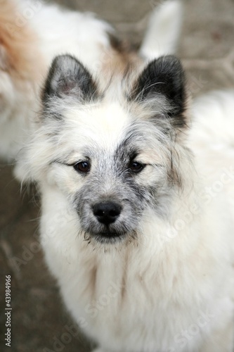 Photo: Elo-Gesichter Elo-Gesichter