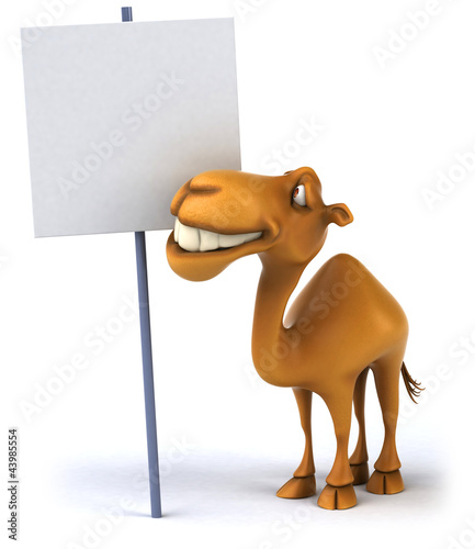 Illustration: Fun camel Fun camel