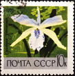 postage stamp USSR - CIRCA 1969