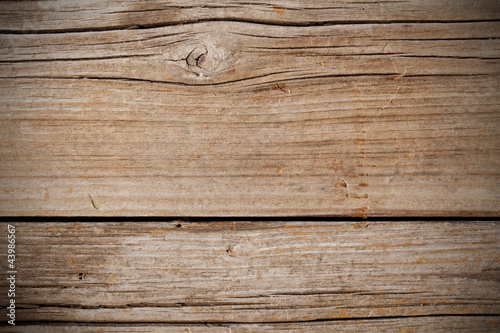 Photo: Holz Holz