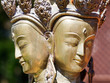 Photo: Brahma Brahma
