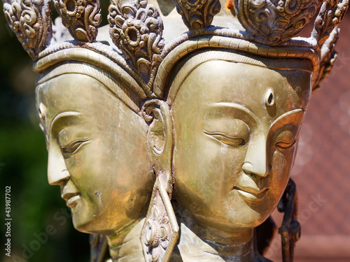 Photo: Brahma Brahma