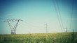 Electrical towers on a filed of wheat