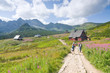 Hikers in Tatra mountains