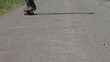 Skateboardfahrer beim Trick auf der Straße
