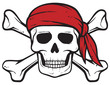 pirate skull