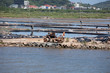 Zhoushan